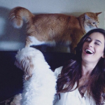 Evelyn Sharma With Her Pets