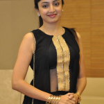 Tamil Telugu Actress Poonam Kaur